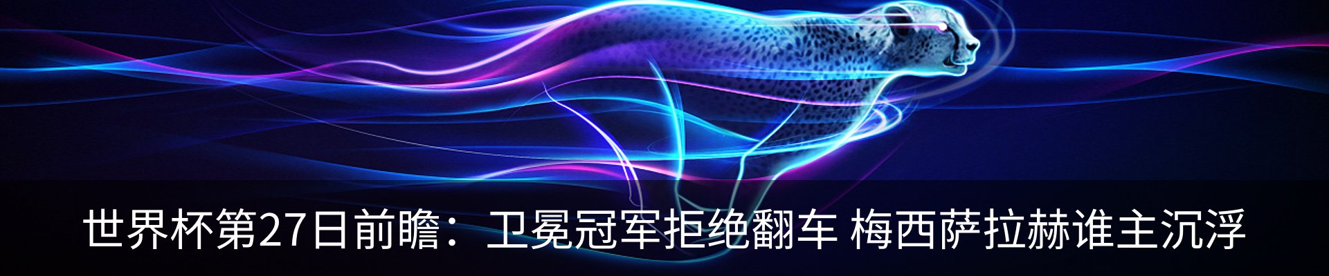 新闻动态