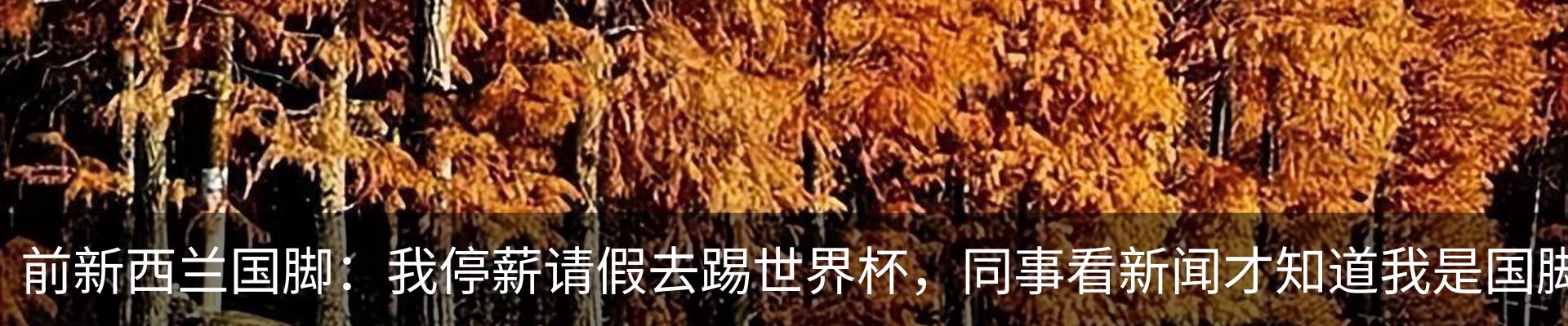 新闻动态