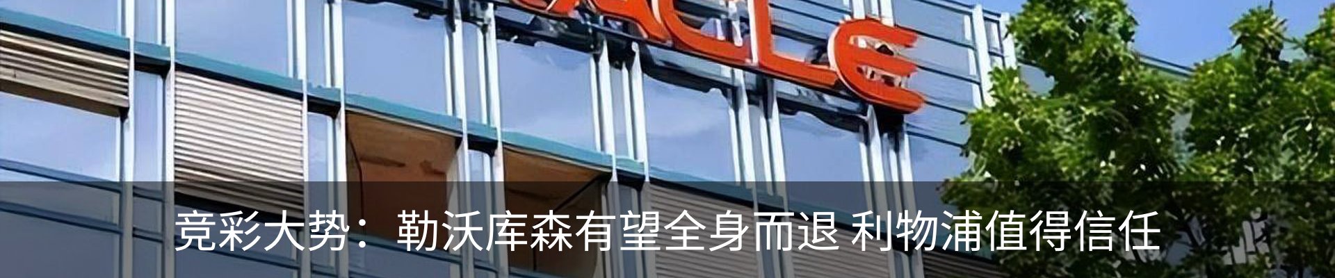 新闻动态